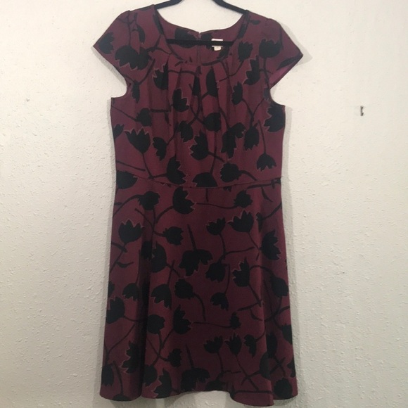 Ann Taylor Loft Cap Sleeve Burgundy & Navy Dress - Picture 1 of 12
